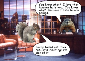squirrel talk show
